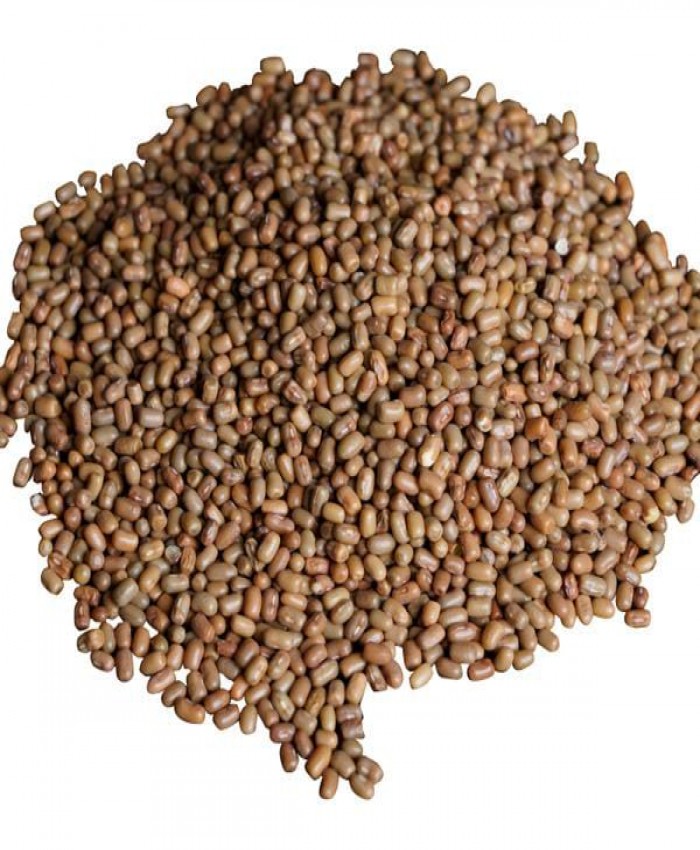 Moth Bean Pulse 1 Kg 