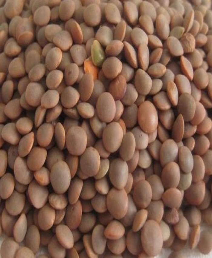 Masoor Whole 1 Kg