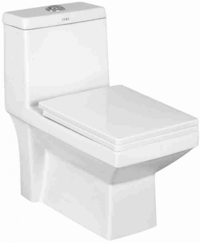 Western Toilet, Joyo Wall Mounted Water Closet Rimless With Soft Close Seat Cover Western Commode